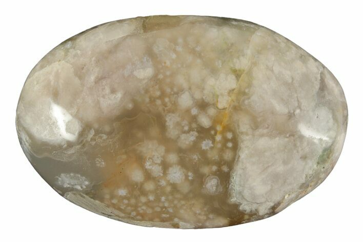 Polished Flower Agate Palm Stone - Madagascar #226837